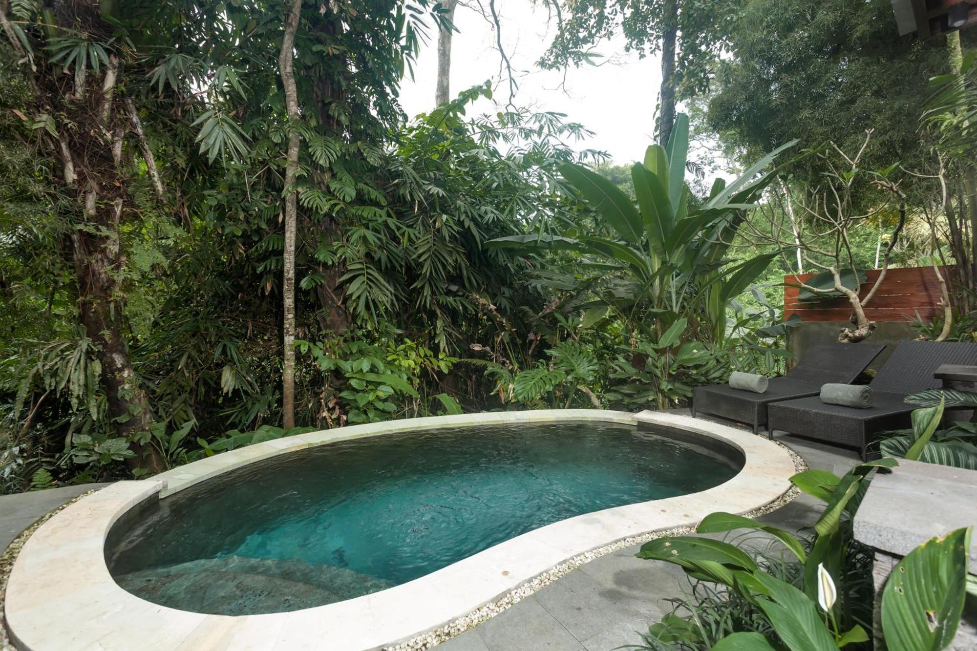 Teba Suci Suite And Villas Ubud  Exterior photo